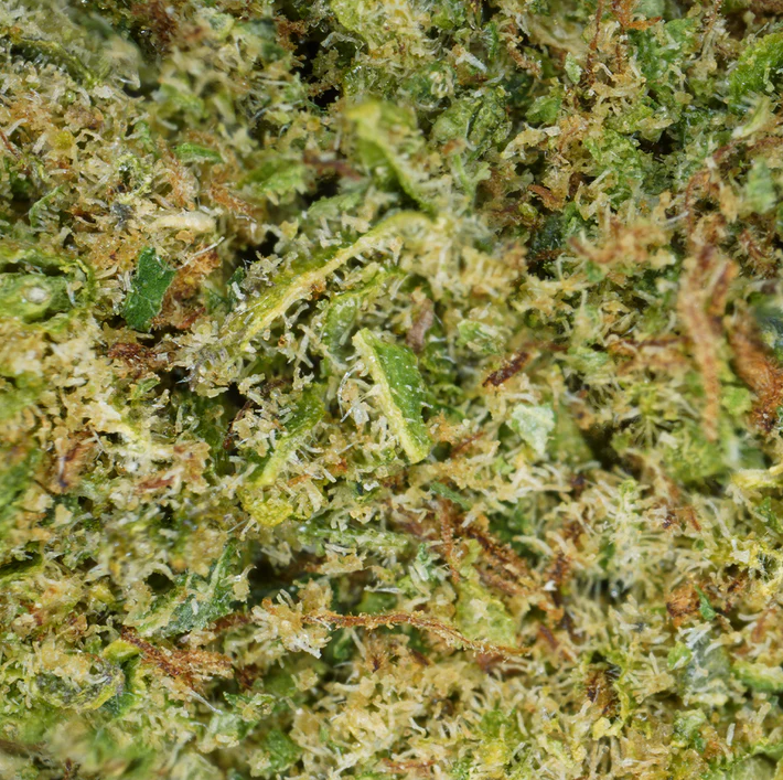 Alien Kush 2g